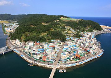 강구항